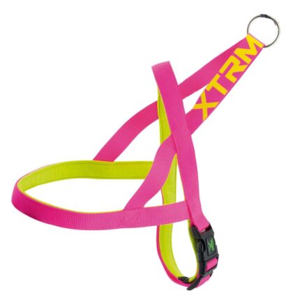 ARNES X-TRM NEON FLASH