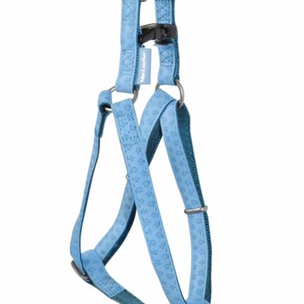 ARNES MACLEATHER