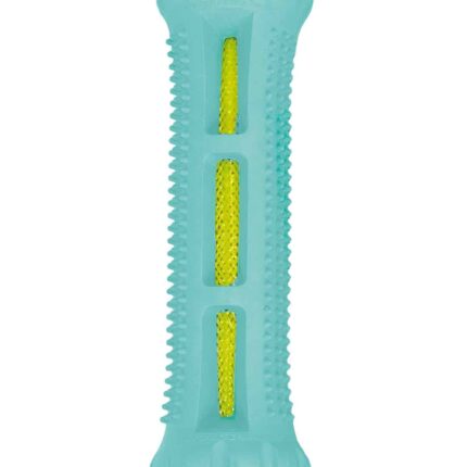 DENTAL FLOSSY TOY