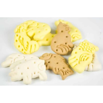 BISCOZOO