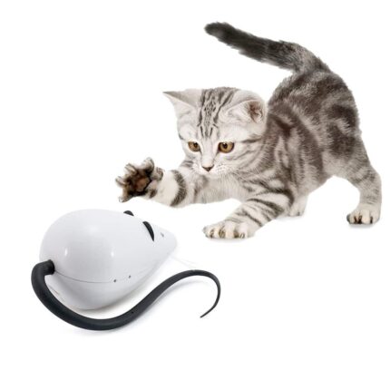 PETSAFE-FROLICAT