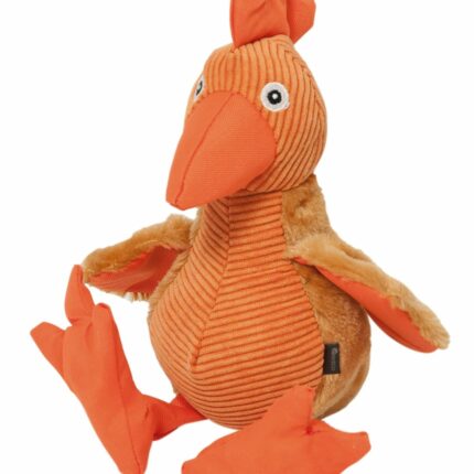 GALLO PACO