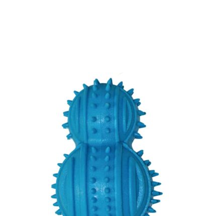 CACTUS DE GOMA