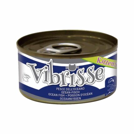 VIBRISSE GATITOS PESCADO OCEANO