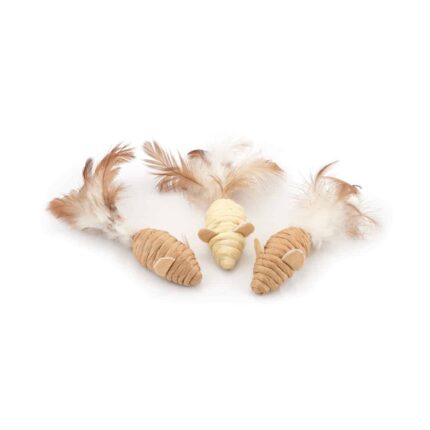 PACK CATKINS