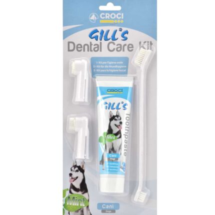 KIT DENTAL CARE