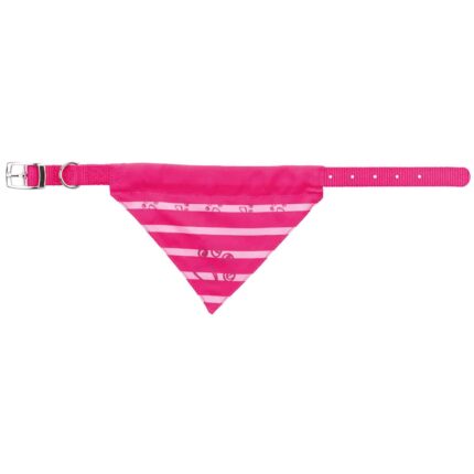 Collar Nylon con Pañuelo