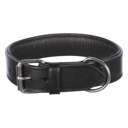 Collar Active