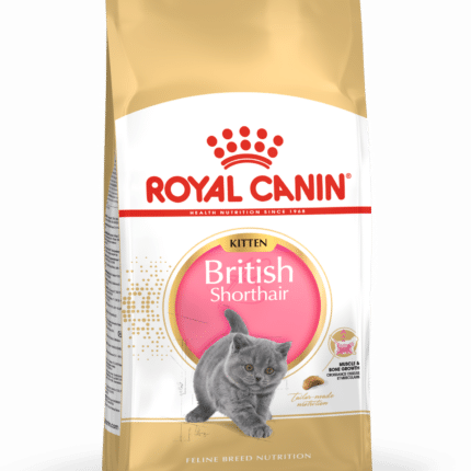 Royal Canin British shorthair Kitten 2 Kg