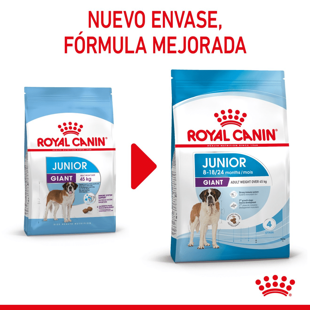 ROYAL CANIN chonic Giant junior