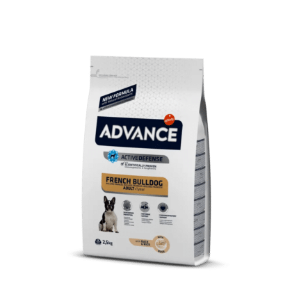 Advance French Bulldog