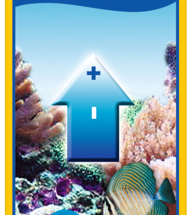 sera marin COMPONENT 7 iodine