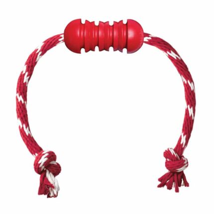 Kong Dental Con Cuerda