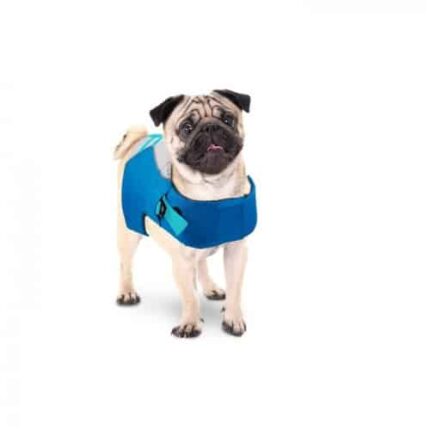 All For Paws Chalecos Salvavidas para perros Chill Out Grande