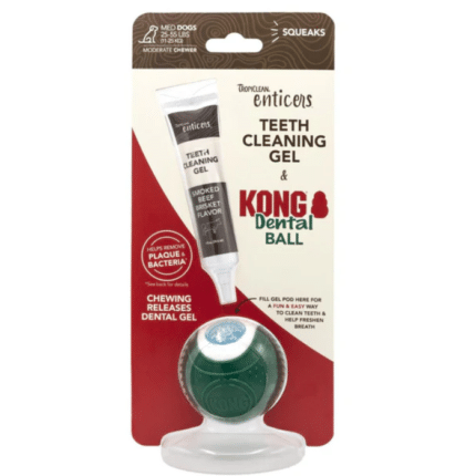 Kong Kit Pelota Dental