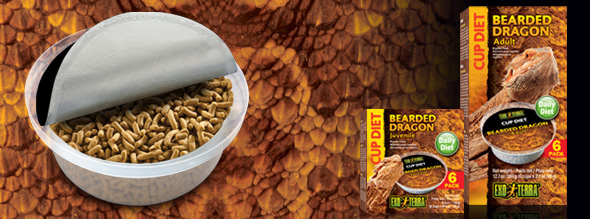 Exo-Terra Bearded Dragon - Cup Diets