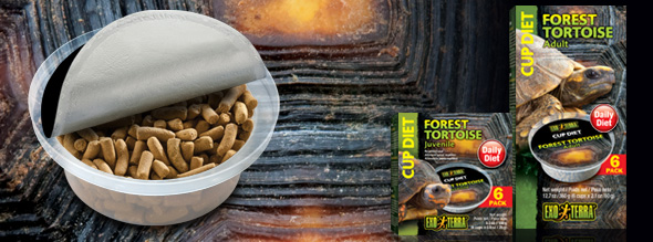 Exo-Terra Forest Tortoise - Cup Diets