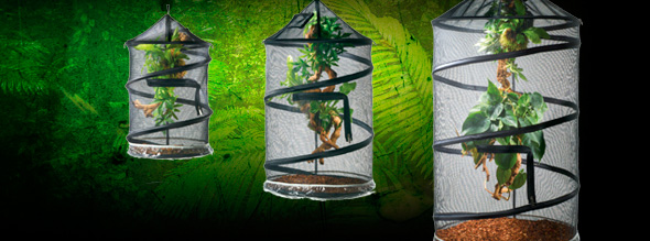 Exo-Terra Explorarium