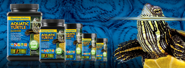 Exo-Terra Pellets Flotantes Tortuga Jóven