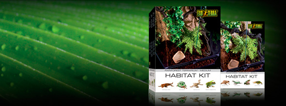 Exo-Terra Kit inicio terrario completo selva