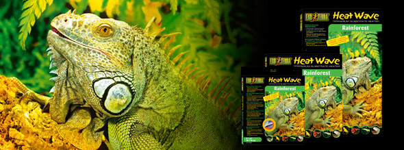 Exo-Terra Onda de Calor bosque tropical