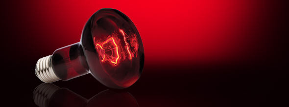 Exo-Terra Luz Solar Infrared