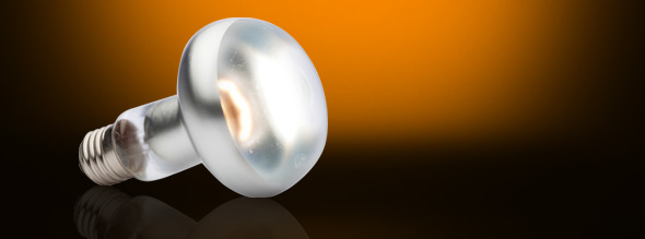 Exo-Terra Luz Solar Intense