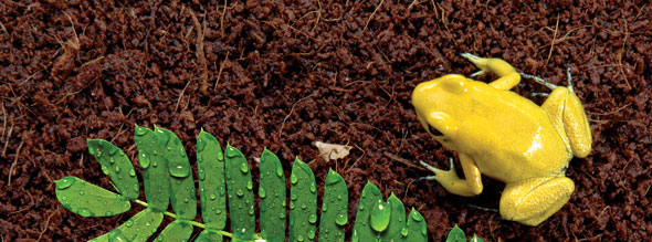 Exo-Terra Plantation Soil (Brick)