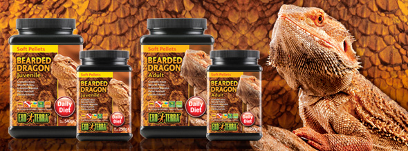 Exo-Terra Bearded Dragon - Soft Pellets