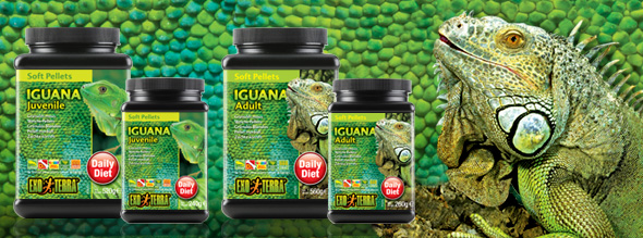 Exo-Terra Iguana - Soft Pellets