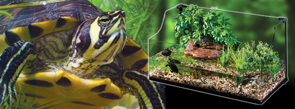 Exo-Terra Terrarium Tortuga Grande