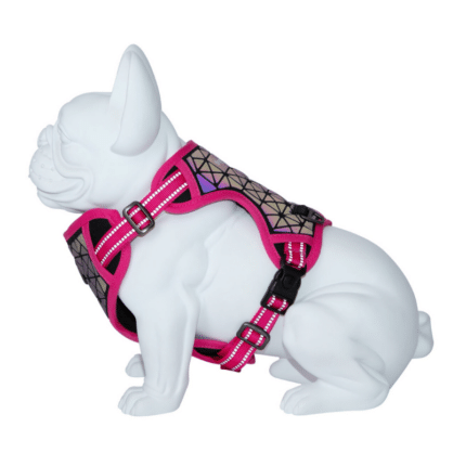 Freedog Arnés Boreal Fucsia
