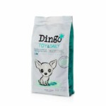 Dingo TOY & DAILY