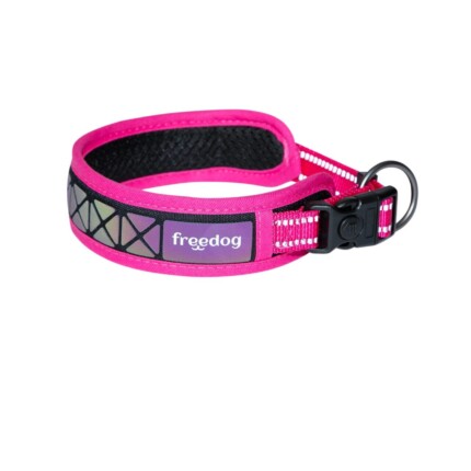 Freedog Collar Boreal Fucsia