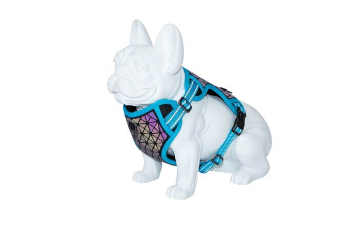 Freedog Arnés Boreal Azul Capri para Perros - Imagen 3