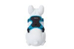 Freedog Arnés Boreal Azul Capri para Perros - Imagen 4