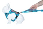 Freedog Arnés Boreal Azul Capri para Perros - Imagen 2