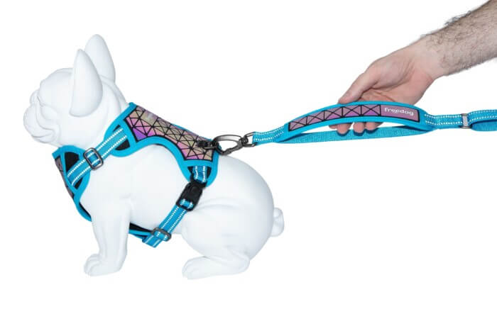 Freedog Arnés Boreal Azul Capri para Perros - Imagen 2