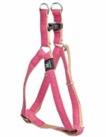 ARNES MACLEATHER STAR