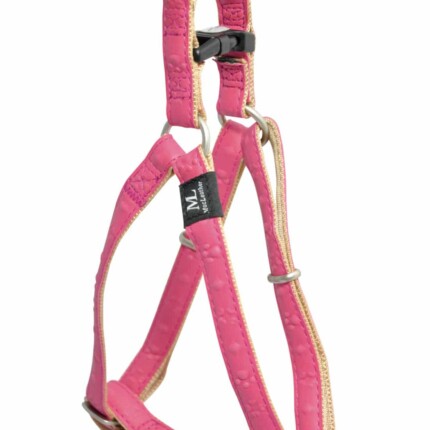 ARNES MACLEATHER STAR