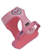 ARNES 3D HEART OF BONE