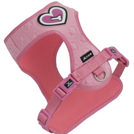 ARNES 3D HEART OF BONE