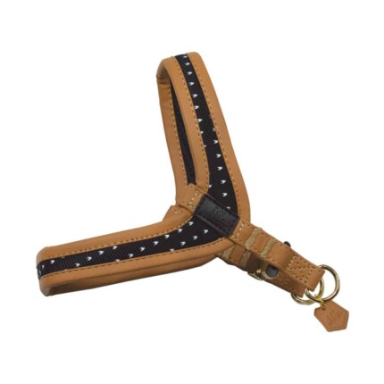 ARNES MACLEATHER MONACO