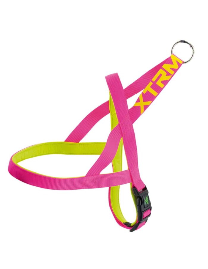 ARNES X-TRM NEON FLASH - Imagen 1