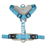 Arnés X-TRM Cronos Neón Flash Azul para Perros