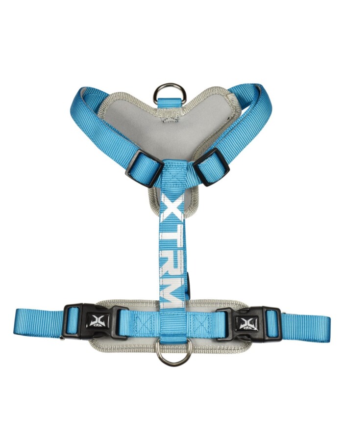 ARNES X-TRM CRONOS NEON FLASH - Imagen 1