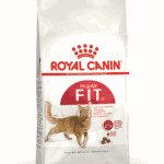 Royal Canin Fit 32