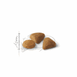 Royal Canin Savour exigent - Imagen 2