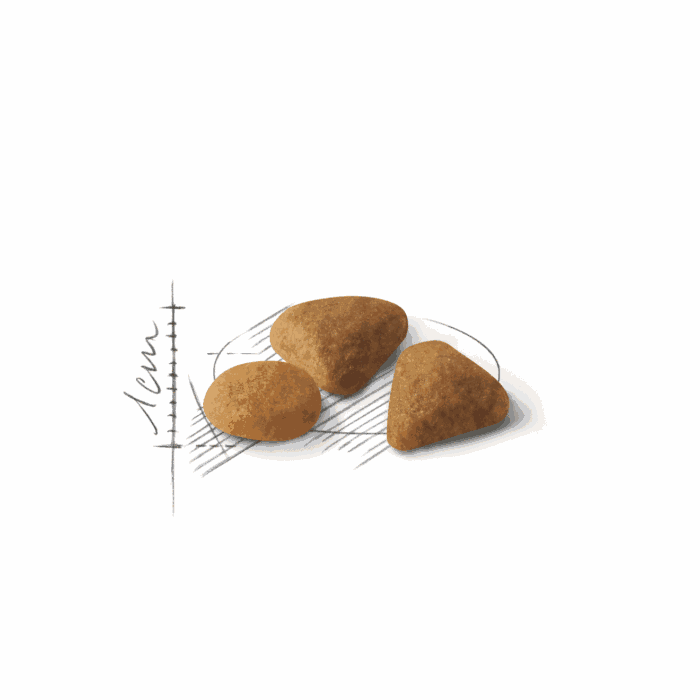 Royal Canin Savour exigent - Imagen 2