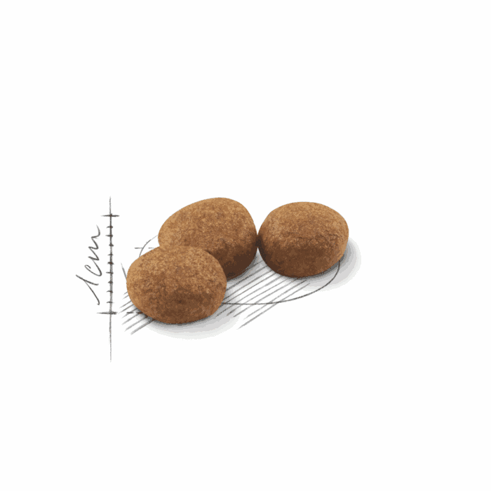 Royal Canin Sterilised 37 - Imagen 2